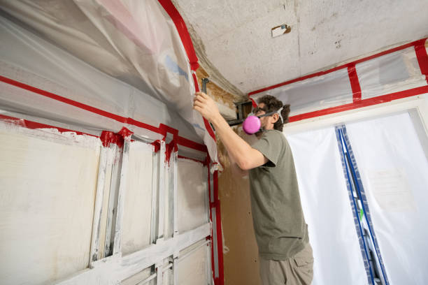 Best Emergency Mold Remediation  in Burlington, VT